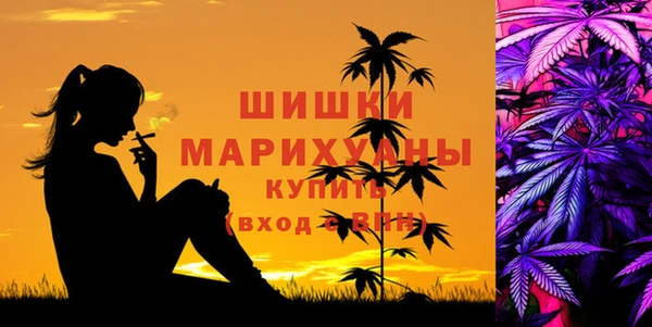 PSILOCYBIN Балахна