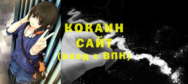 PSILOCYBIN Балахна
