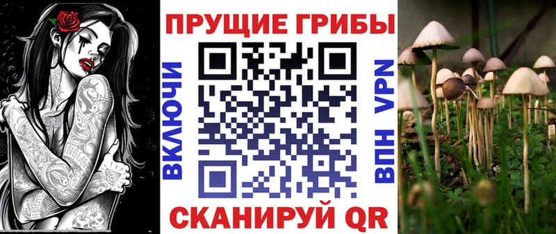 Галлюциногенные грибы Psilocybine cubensis Верхняя Салда