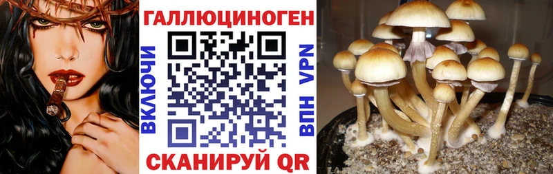 Галлюциногенные грибы MAGIC MUSHROOMS Верхняя Салда
